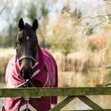 A dark brown horse wearing a burgundy detachable neck turnout rug with white reflective strips and protective blanket