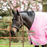 A dark brown horse wearing a baby pink turnout rug with a detachable neck cover and 1200d outer liner attachments