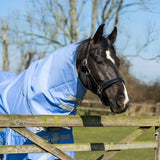 A black horse with a white blaze wearing a cornflower swish 100g detachable neck turnout rug with 1200d outer and liner attachments