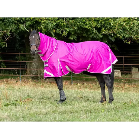 Swish 100g Detachable Neck Turnout Rug - Mulberry 4'3 Turnout Rugs