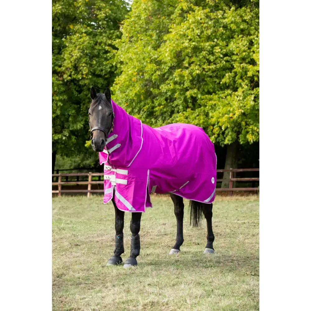Swish 100g Detachable Neck Turnout Rug - Mulberry 4'3 Turnout Rugs