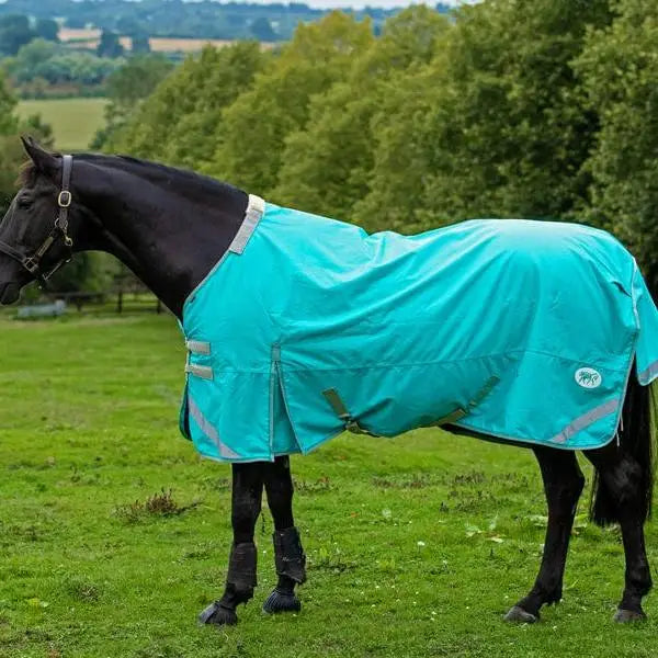 Teal swish 100g detachable neck turnout rug with liner attachments and reflective strips for equestrian use peppermint color