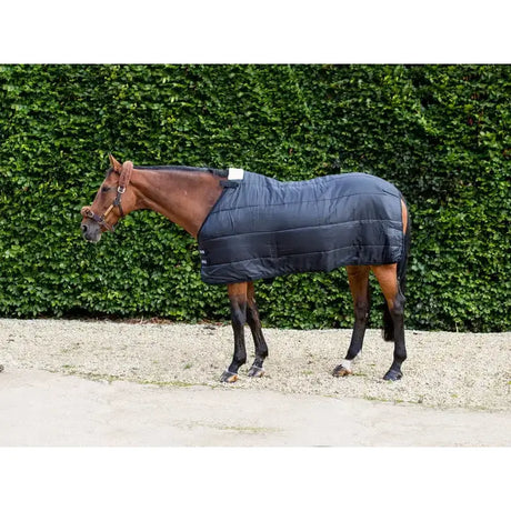 Black quilted swish 100g horse rug liner worn by brown horse showing back with white label highly breathable design