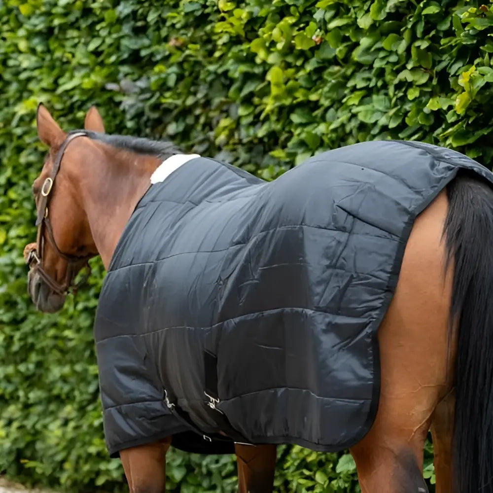 Black quilted swish 100g horse under rug with cross surcingles and reinforced stitching stable rug