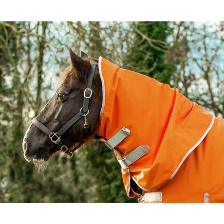 Bright orange horse hood with white trim and silver buckles for swish 100g orange turnout rug ripstop 1200d use