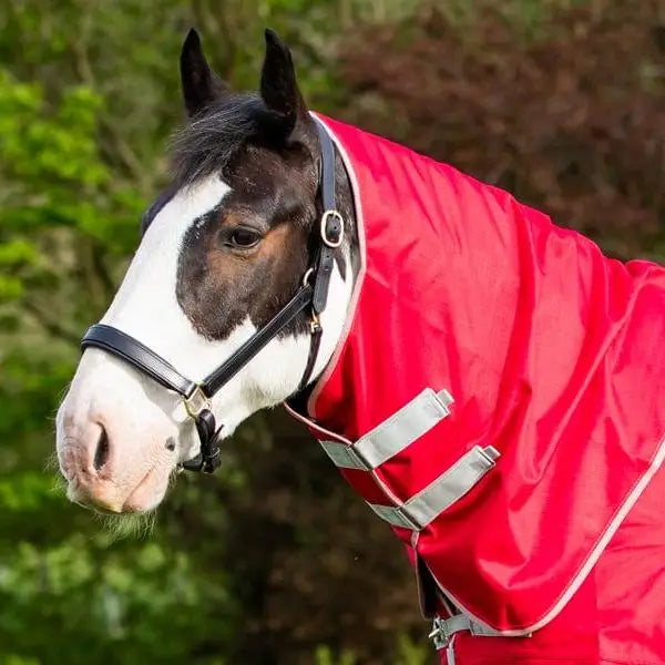 Red turnout rug with detachable neck cover in 1200d ripstop featuring silver straps and black leather harness