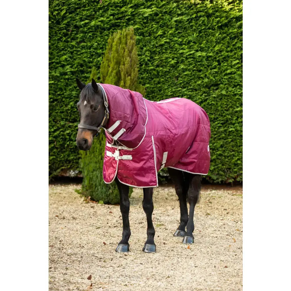 A swish 100g lightweight stable rug in burgundy with detachable neck hood soft nylon lining and reflective strips