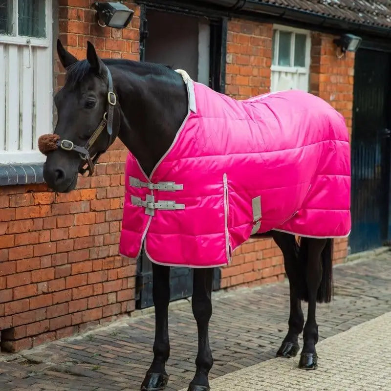 Bright pink swish 100g stable rug with detachable neck soft nylon lining silver buckles white trim and storage bag