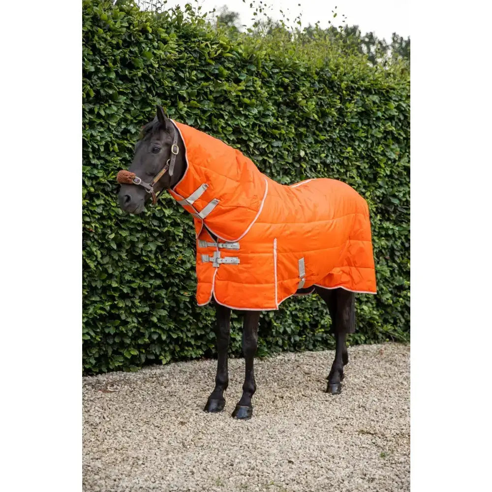 Bright orange swish 100g lightweight stable rug with detachable neck orange soft nylon lining and reflective trim