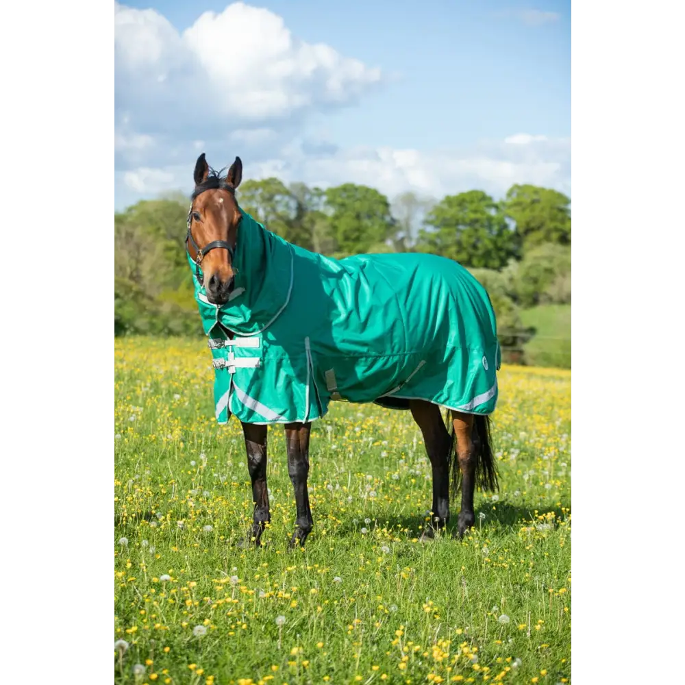 Swish 200G Detachable Neck Turnout Rug - Green 4'3 Turnout Rugs