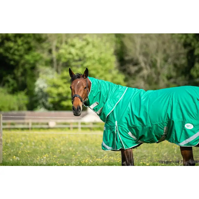 A brown horse wearing a green swish 200g detachable neck turnout rug with reflective trim and silver buckles