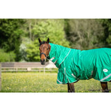 A brown horse wearing a green swish 200g detachable neck turnout rug with reflective trim and silver buckles