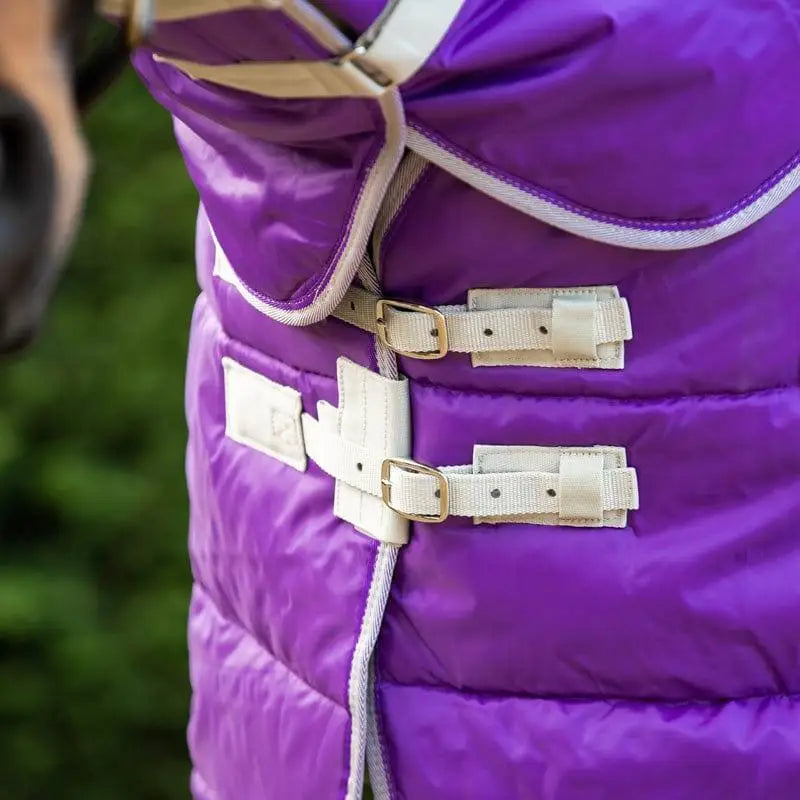 Purple swish 200g stable rug with quilted design, beige straps, gold buckles, and detachable neck stable feature