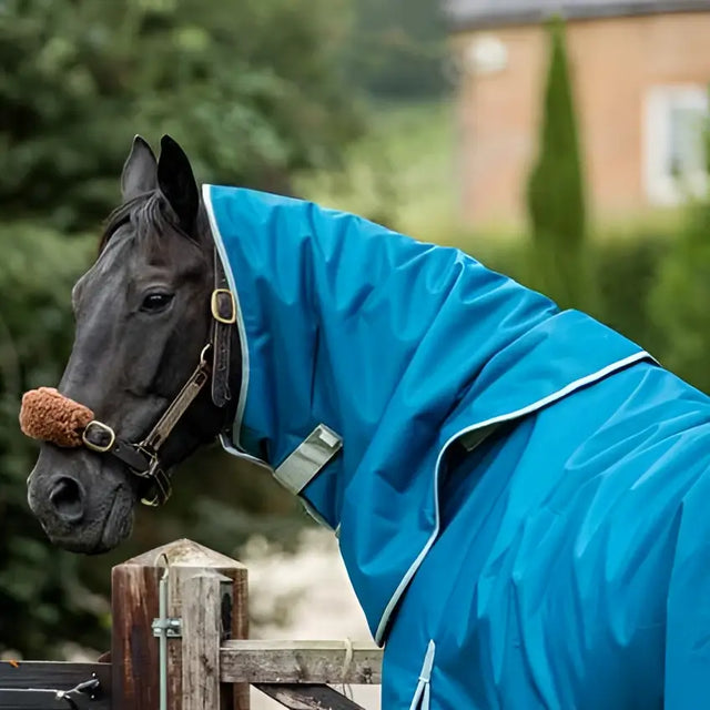 A black horse wearing a neck cover turquoise swish 200g turnout rug neck for extra warmth and protection