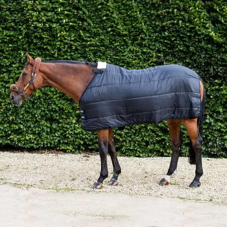 Black quilted 300g horse rug liner with reinforced stitching and adjustable straps for stable rugs use