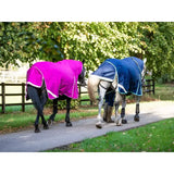 Two horses wearing swish 450g ultimate fixed neck turnout rugs in vibrant mulberry and navy blue with teal piping