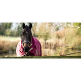Swish 50g Detachable Neck Turnout Rug - Burgundy 4'3 Turnout Rugs