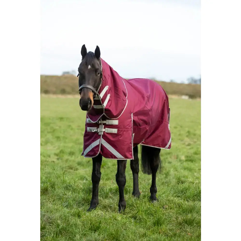 Maroon swish 50g detachable neck turnout rug with 1200d outer, white reflective stripes, and silver buckles