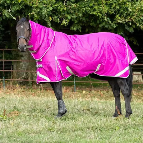 Bright pink swish 50g detachable neck turnout rug with reflective trim and silver clip chest buckle closures