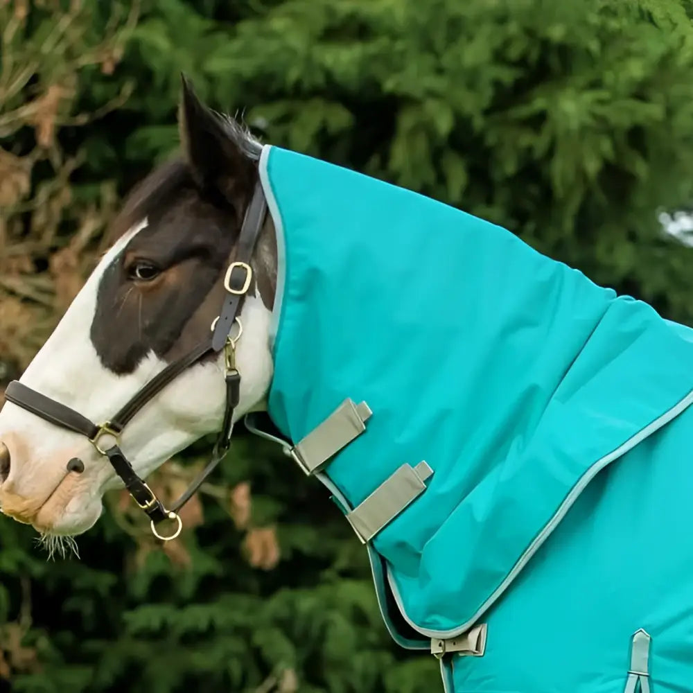 Teal swish 50g peppermint turnout rug neck cover with gray adjustable 1200d ripstop straps and silver buckles