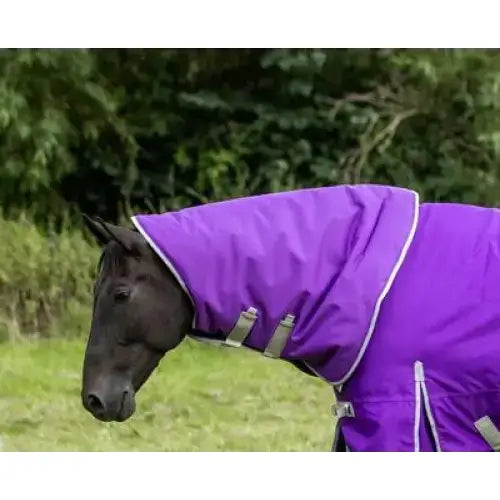 A vibrant purple turnout rug swish 50g purple with white trim silver buckles made from durable 1200d ripstop for warmth