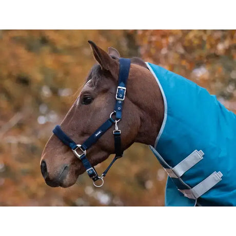 A brown horse wearing a navy swish fleece padded head collar with a bright turquoise fleece padded blanket and matching ropes