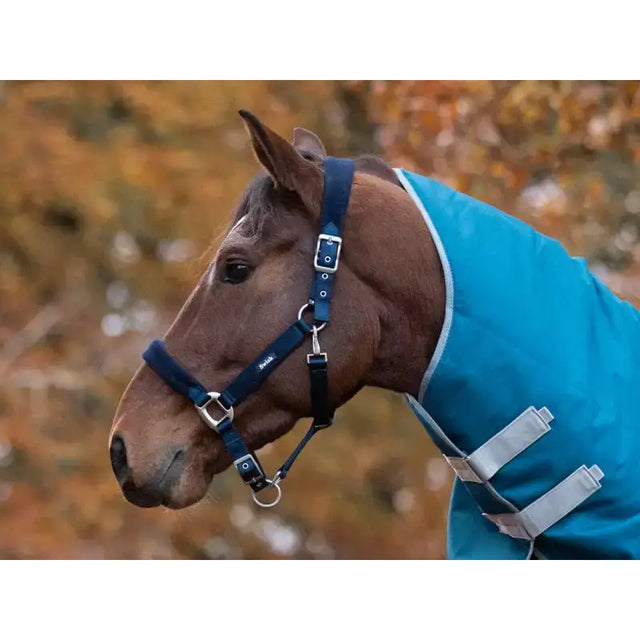 A brown horse wearing a navy swish fleece padded head collar with a bright turquoise fleece padded blanket and matching ropes