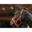 Swish Fleece Padded Head Collar - Orange Pony Headcollars