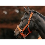 Swish Fleece Padded Head Collar - Orange Pony Headcollars