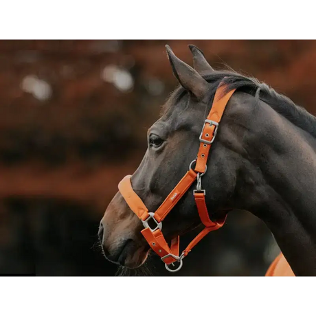 Swish Fleece Padded Head Collar - Orange Pony Headcollars