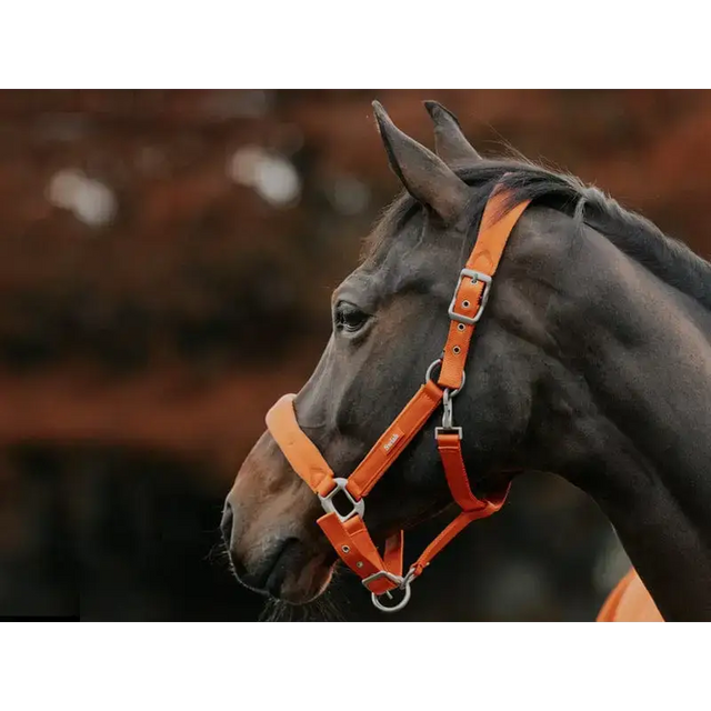 Swish Fleece Padded Head Collar - Orange Pony Headcollars