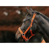 Orange leather fleece padded head collar with silver hardware featuring quick release webbing and matching ropes