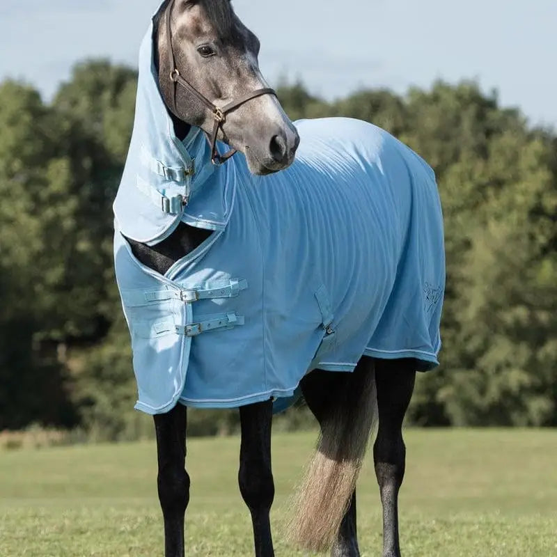 Light blue luxury fleece rug with hood and adjustable cross surcingles featuring silver piping trim