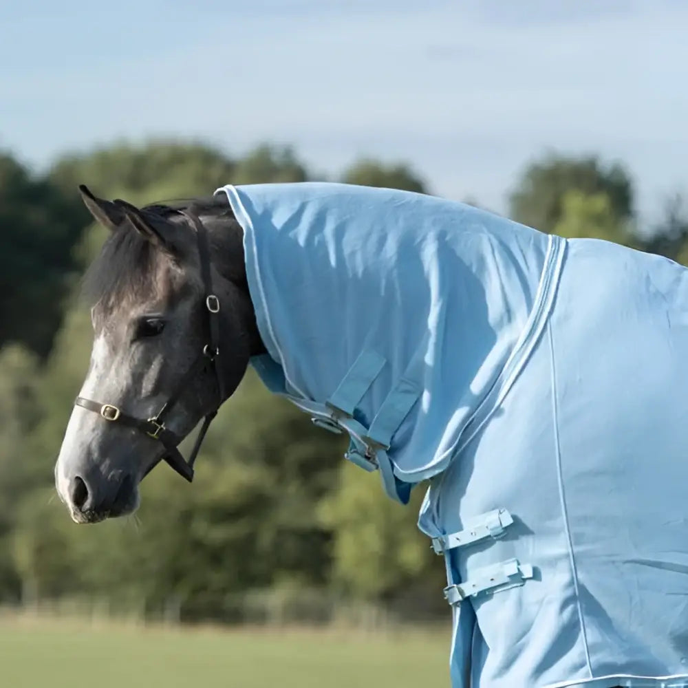 Light blue luxury fleece rug with neck cover silver piping and cross surcingles featuring adjustable straps and buckle closures