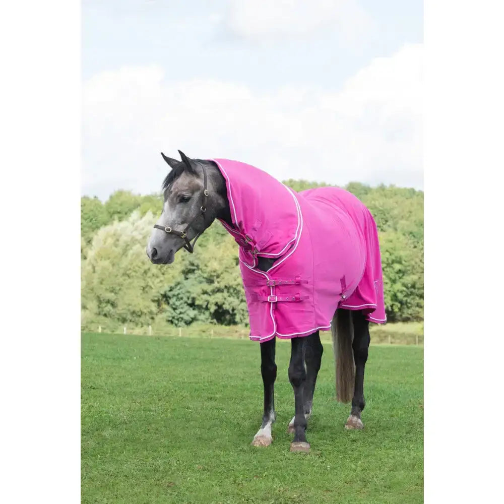 A vibrant pink swish fleece rug with neck cover berry, white trim, adjustable buckles, and wicking properties for warmth