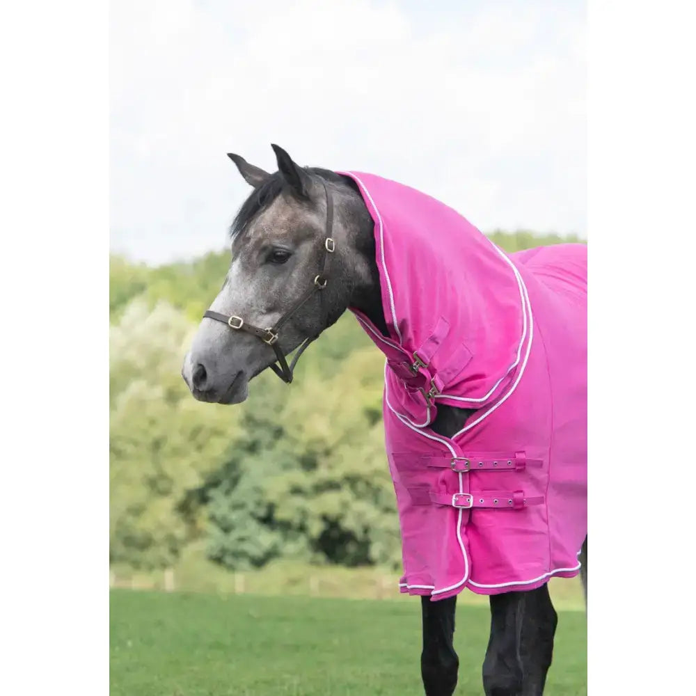Vibrant pink swish fleece rug with neck cover berry featuring white trim silver buckles and wicking properties