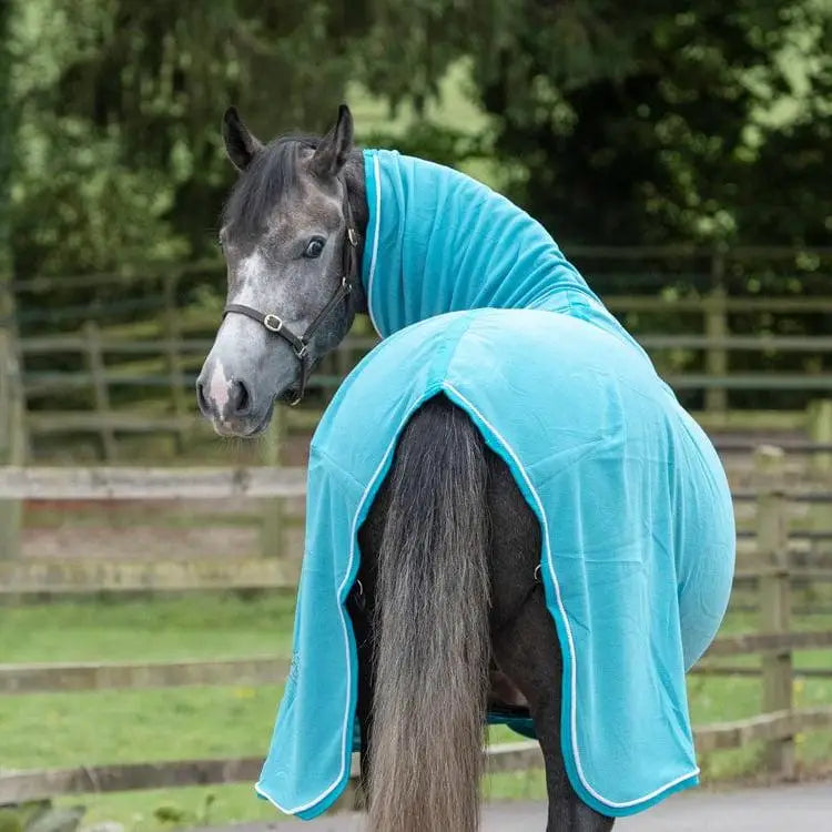 Teal plush horse blanket swish fleece rug with neck cover turquoise and white trim luxury fleece warmth
