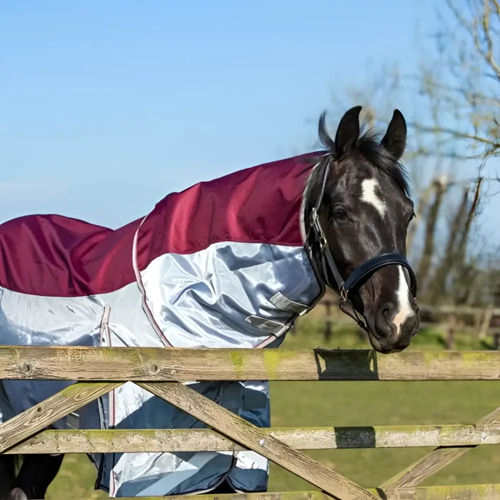 Black and white horse wearing maroon and silver reflective fly turnout rug with white stripe and breathable nylon