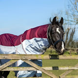 Black and white horse wearing maroon and silver reflective fly turnout rug with white stripe and breathable nylon