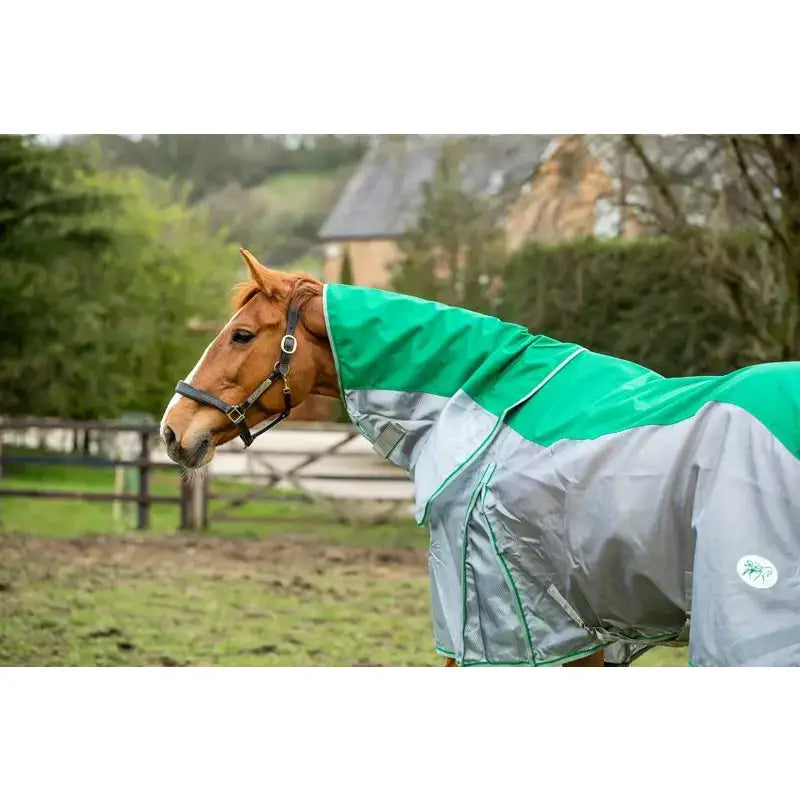 A brown horse wearing a green and silver fly turnout combination rug mesh with a detachable neck cover