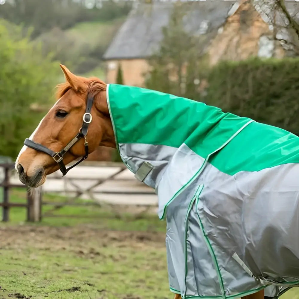 Brown horse wearing a green nylon swish fly turnout combination rug with reflective trim and shower proof fabric