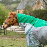 Brown horse wearing a green nylon swish fly turnout combination rug with reflective trim and shower proof fabric