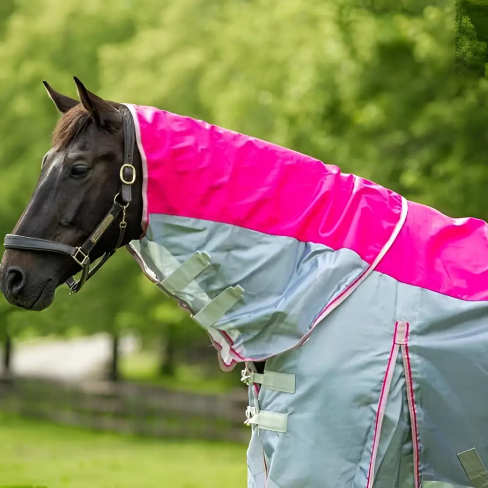 A vibrant pink and gray swish fly turnout combination rug with reflective trim and detachable neck cover for horses