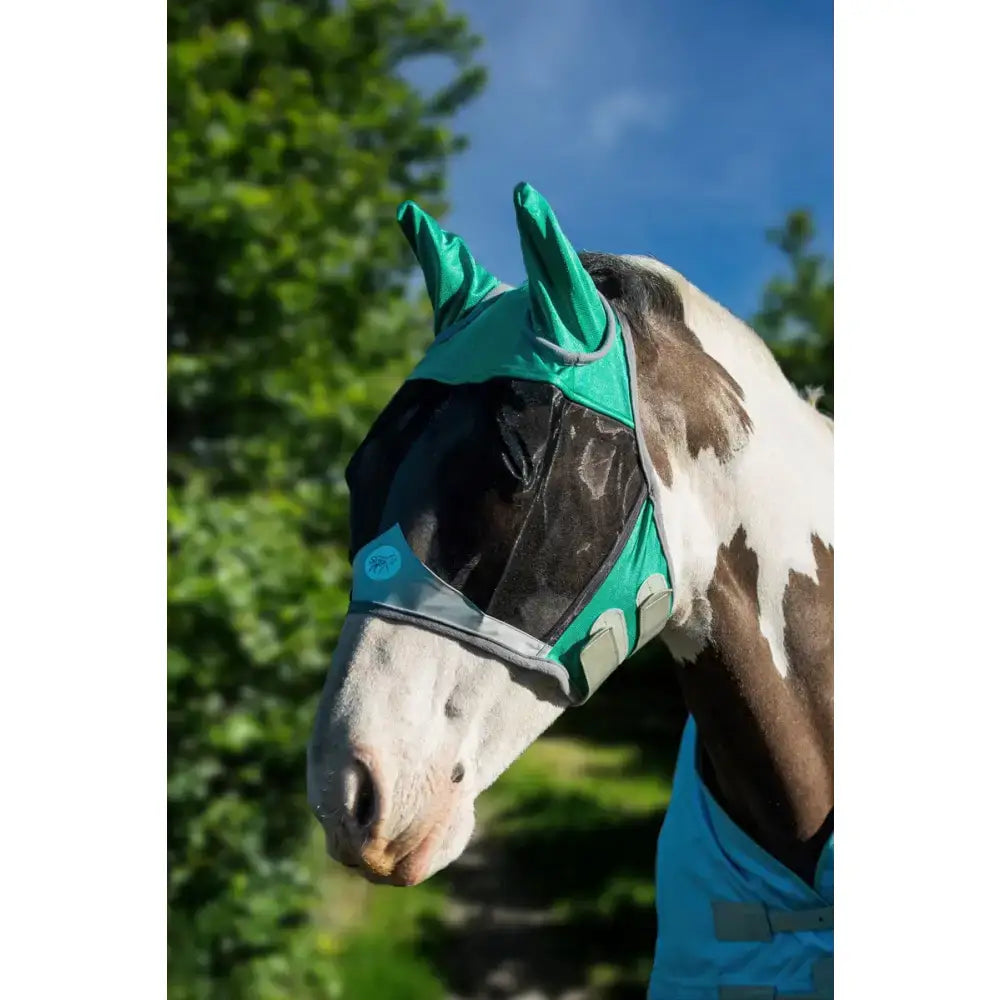 Teal swish horse fly mask with mesh face covering and adjustable straps featuring anti rub bindings