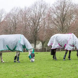 Swish Mesh Fly Rug - Grey/Green 4'3 Fly Rugs