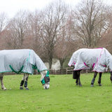 Two horses wearing swish mesh fly rugs in grey with green and pink trim graze with detachable neck covers on a grassy field