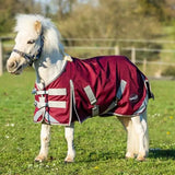 Swish mini 0g turnout rug burgundy with reflective stripes, adjustable cross surcingles, and small side logo