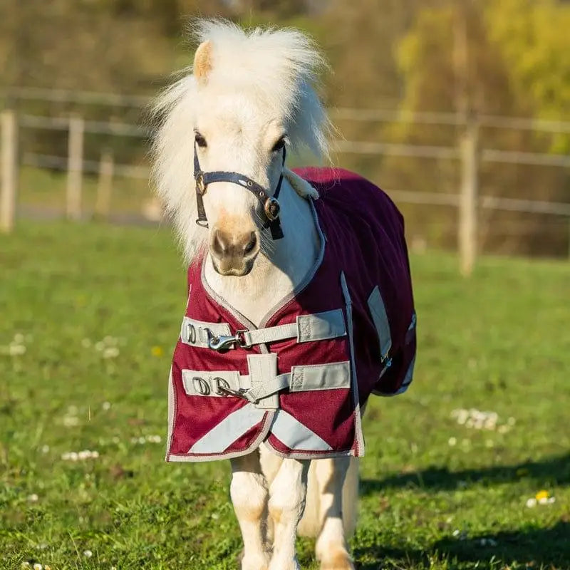 A white pony wearing a burgundy swish mini 0g turnout rug with silver reflective material and cross surcingles straps