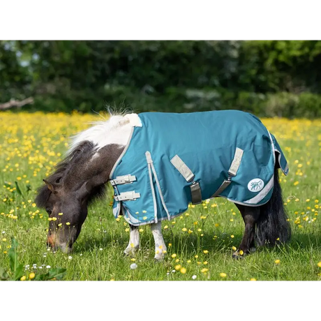 Swish MINI 0g Turnout Rug - Turquoise 3'3 Turnout Rugs