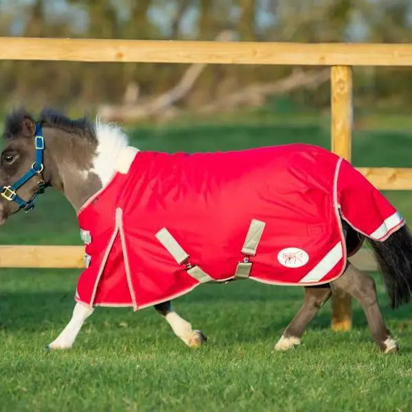 Red waterproof swish mini 200g turnout rug with white trim beige straps and small logo patch on the side
